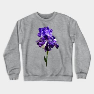 Purple and White Striped Iris Crewneck Sweatshirt